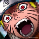 black-wings-12 avatar