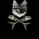black0pirate0cat avatar