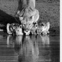 black45canvas avatar