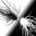 blackandwhite152 avatar