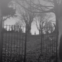 blackandwhite7659 avatar