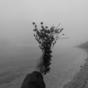 blackandwhitebabes avatar