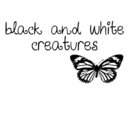 blackandwhitecreatures-blog avatar