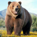 blackandwildnotblackandmild avatar