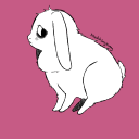 blackb3rrybunny avatar