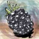 blackberrywars avatar