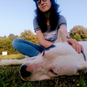 blackbir-th-d avatar