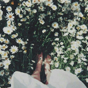 blackbird-fly-into-the-night avatar