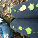 blackbird-fly55 avatar