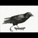 blackbirdissue avatar