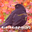 blackbirdmuses avatar