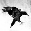 blackbirdofasgard avatar