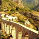 blackbirdsandblossom avatar