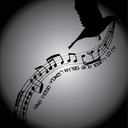 blackbirdwings avatar