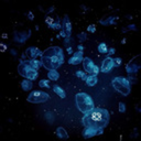 blackboxhedonist avatar