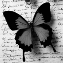 blackbutterfly207 avatar