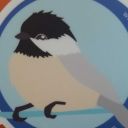 blackcapchickadee avatar