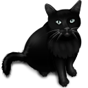 blackcat-whatever avatar