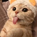 blackcat-with-a-black-backpack avatar