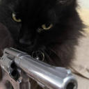 blackcat2016 avatar
