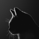 blackcatcanary avatar