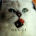 blackcatfelixia avatar