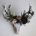 blackcatgoodcat avatar