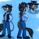 blackcatlightning avatar