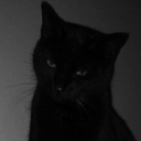 blackcatreligion avatar