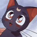 blackcats avatar