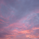 blackcats-lilacskies avatar