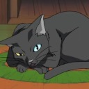 blackcatt4211 avatar