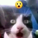 blackcherrycherry avatar