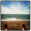 blackcollarswitch avatar