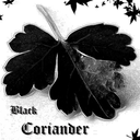 blackcoriander avatar