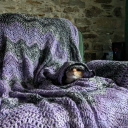 blackcrowsfrost avatar