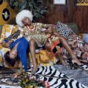 blackcurators avatar