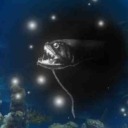 blackdrag0nfish avatar