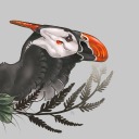 blackdragonne avatar