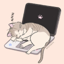 blackdragonofthenights avatar