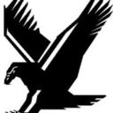 blackeagle95 avatar