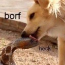 blackfang3000 avatar