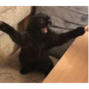 blackfemfreak avatar