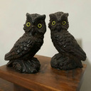 blackforestowl avatar