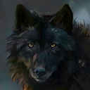 blackgold-the-wolf avatar