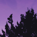 blackheart-babe avatar