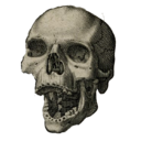 blackheartpress avatar