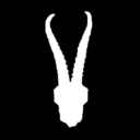 blackhorne-blog avatar