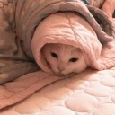 blackhyancinth avatar