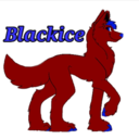 blackicehusky avatar